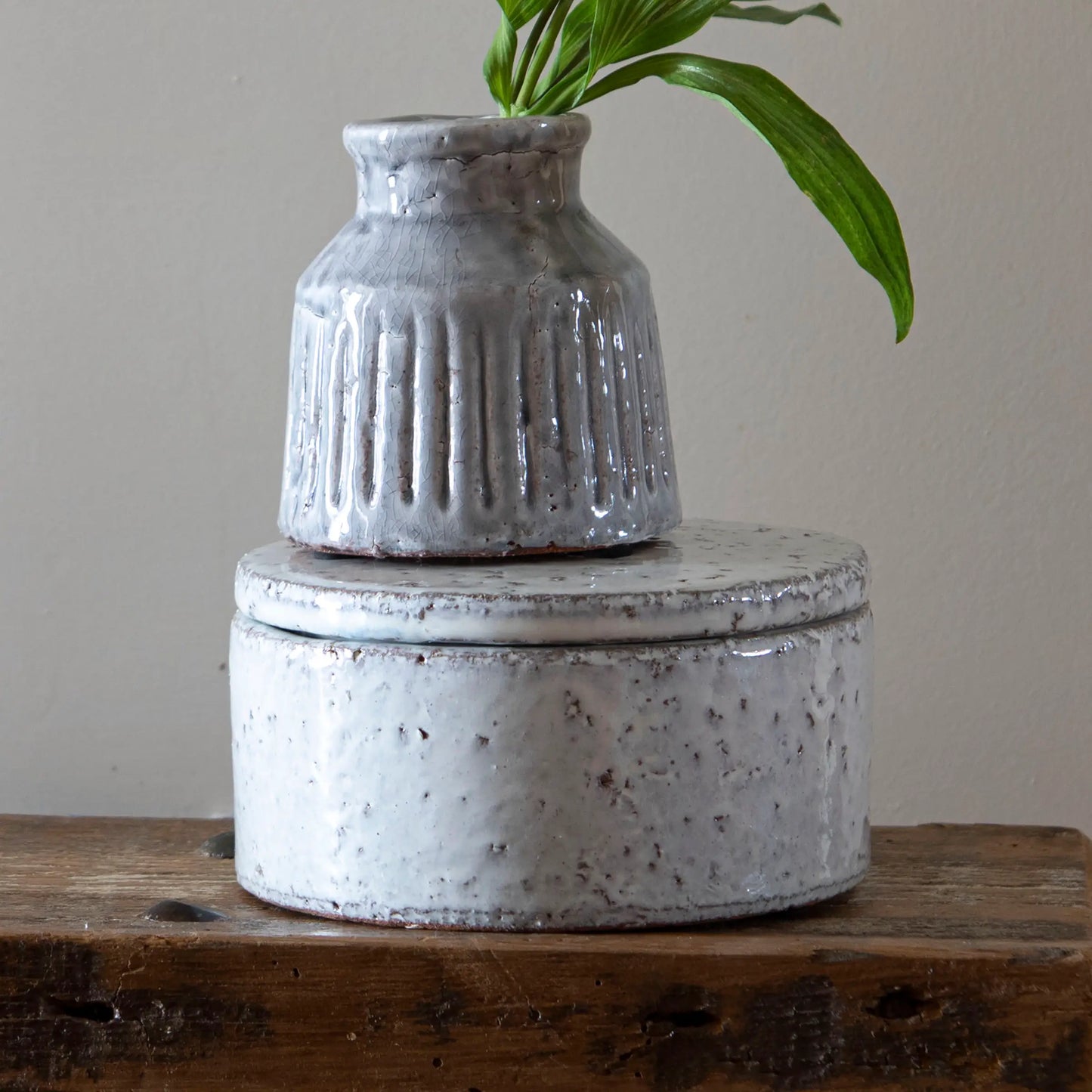 Gila Ceramic Canister White